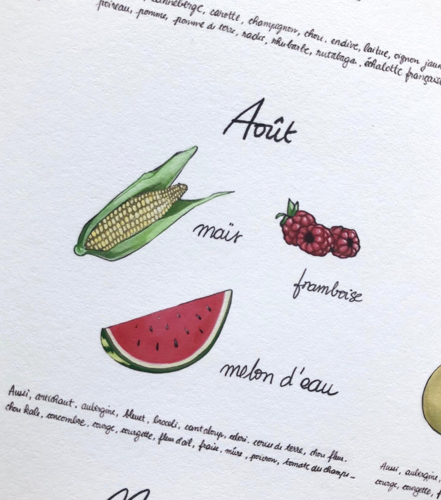 Affiche illustrée des Fruits et Légumes du Québec (2020)